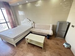 株洲荷塘红旗广场红旗广场精装公寓700 可短租 家电齐全 环境好采光通透出租房源真实图片