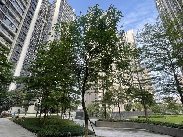 【多图】保利花海湾,芳村租房,保利花海湾 电梯精装大三房 环境优美