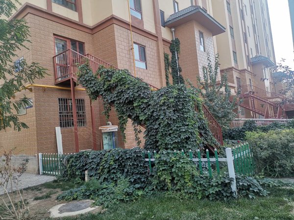 敦煌金领广场金领广场小复试3楼精装带家具家电年租2.