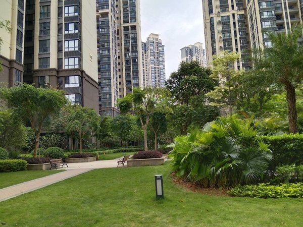 南宁邕宁蒲庙镇阳光城丽景湾丽景湾精装3房出租  拎包入住   钥匙在手