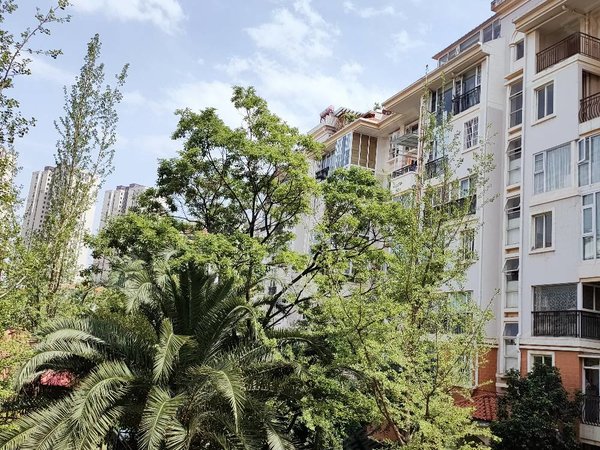 直租月付无中介金盾花园独立阳台广福城同仁医院南悦城