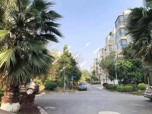 楚雄楚雄市开发区金色花园太阳历公园旁边全新精装修带电梯装修新保养