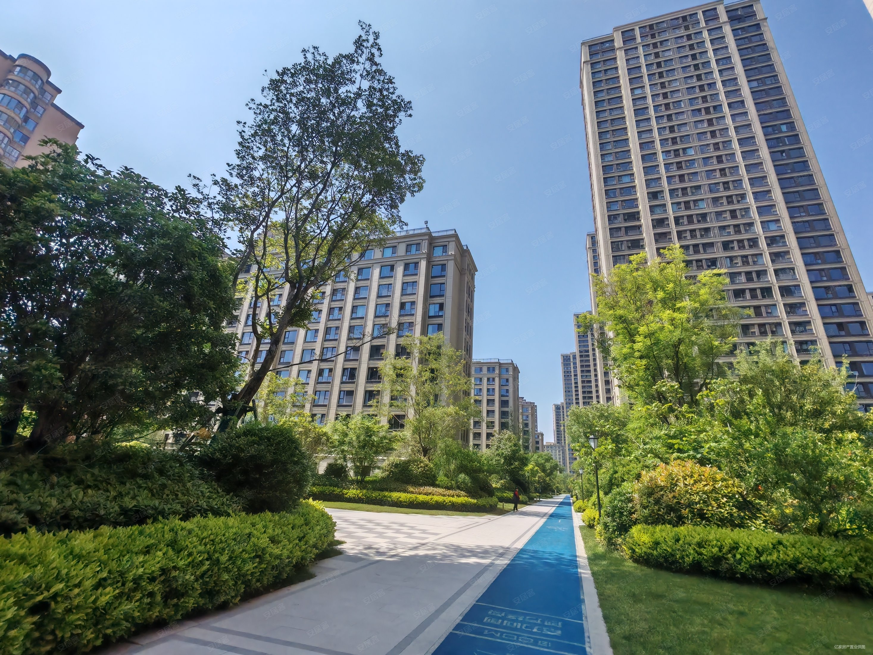 绿城品质小区 精装全明三室 拎包入住