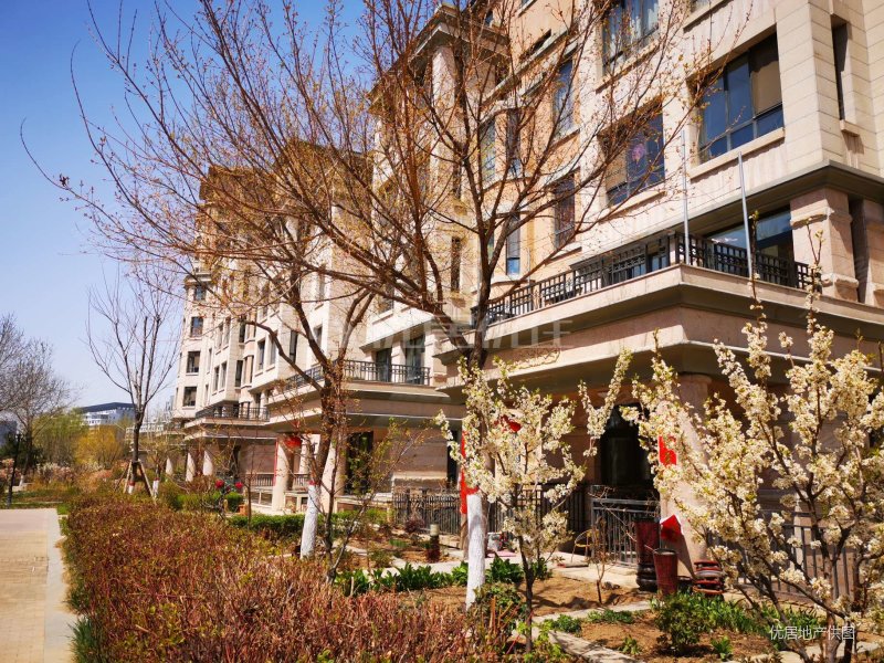 东岸国际洋房三楼带储藏间送家私