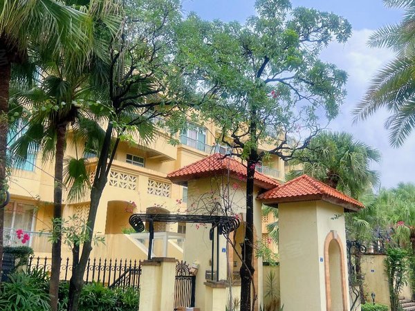 广州越秀二沙岛新世界棕榈园二沙岛南北向顶层带私家天台两房吉屋出租