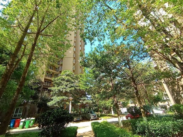 红河蒙自同德广场长河天骄城市中心朝阳路,清爽舒适,拎包入住,电梯房