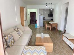 柳州鱼峰东环南亚名邸 兴怡园 恒大御府 海馨嘉园 附近 华润凯旋门出租房源真实图片