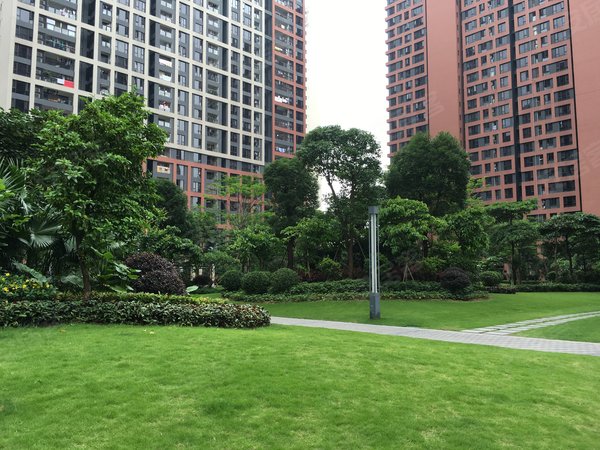 东莞南城石竹万科金域华府二期漂亮两房!刚搞完清洁 南北通透!