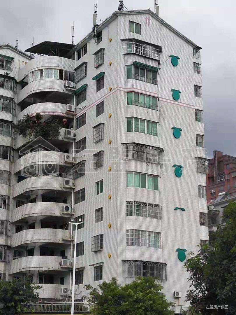 北门这地方精装修单价5999电梯房十几楼,三房朝南,冬暖夏凉,安福小区