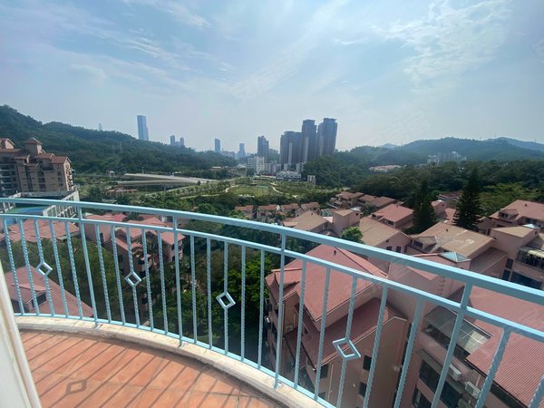 深圳罗湖银湖金碧苑6号线地铁口电梯大六房!欧式风格,看房随时都可以!