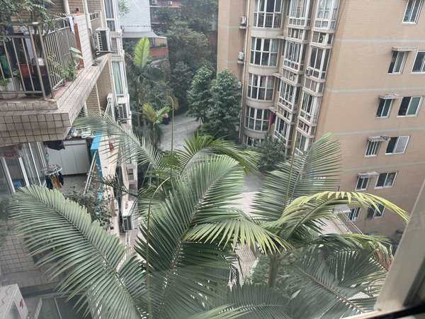 重庆渝中上清寺嘉和苑(渝中)大礼堂附近  精装电梯两房  近轻轨 菜市