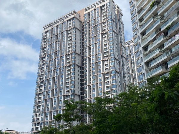 深圳南山大学城崇文花园崇文花园 65平大两房 多套房源出租 近中科院