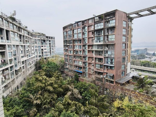 江北机场对面金港国际1期出租房源真实