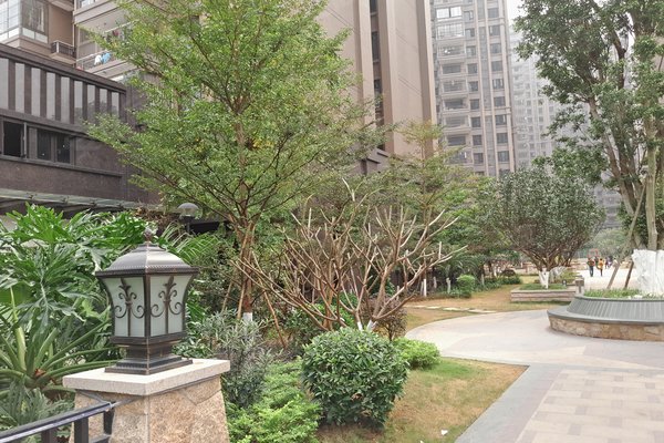 佛山小区 南海小区 黄岐小区 > 长信御景峰