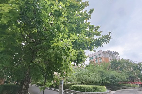 不足,中海水岸春城怎么样,中海水岸春城周边房产中介经纪人评价-长春