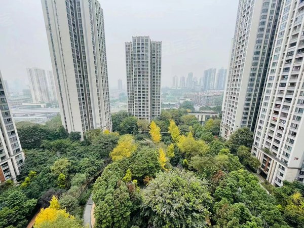 重庆江北南桥寺保利香雪保利香雪便宜3室 出门公交 地铁 南桥寺 玉带