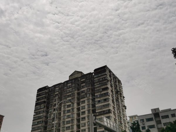 磨碟沙地铁口,电梯中层大三房,家私家电,可做员工宿舍,海珠租房-广州