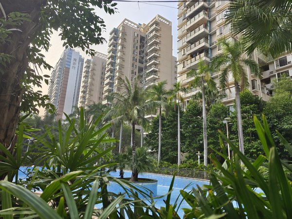 【多图】海怡东方花园,科苑租房,海怡东方花园 2室2厅1卫 电梯房 74平