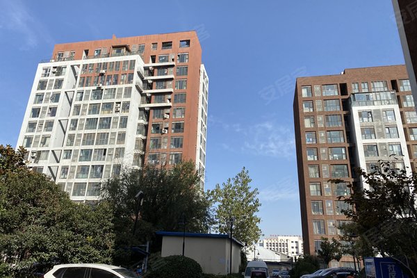 橄榄城柏林印象