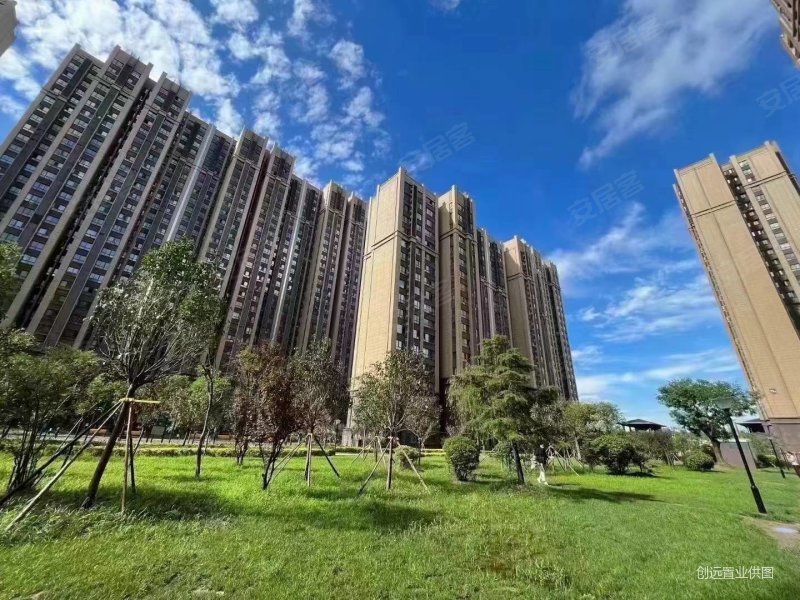 雅荷盛世铭城3室2厅2卫127㎡南北99万