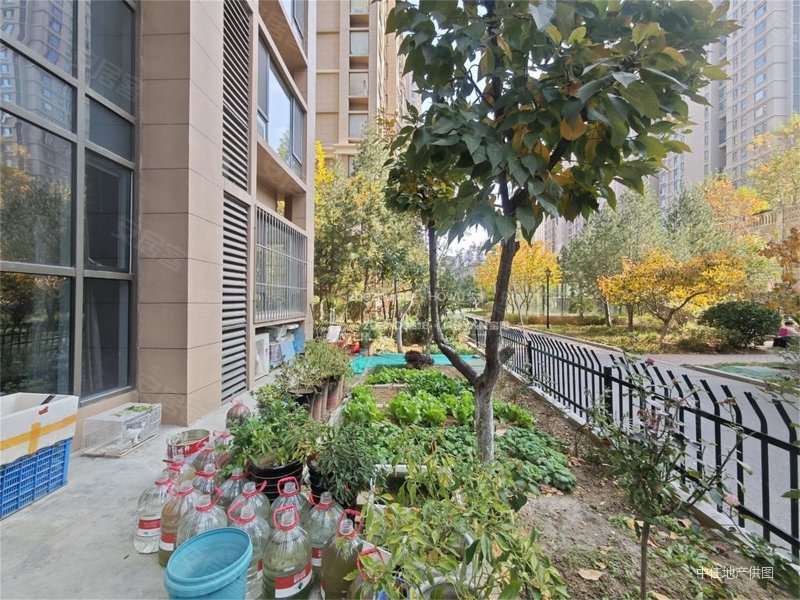 带小院 舜奥华府,济高舜奥华府二手房,750万,3室2厅,2卫,361平米-济南