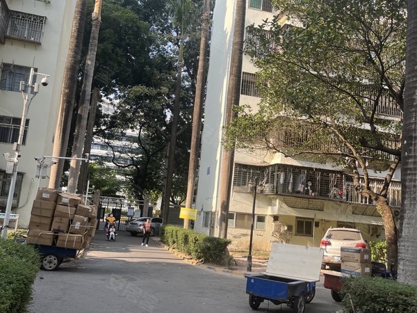 深圳福田华强北红荔村住宅区红荔村新装修三房,高楼层,采光好出租房源