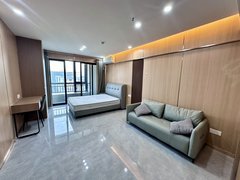 深圳南山西丽安选好房 茶光站 茶光村 1室1卫 精装修 家电齐全出租房源真实图片