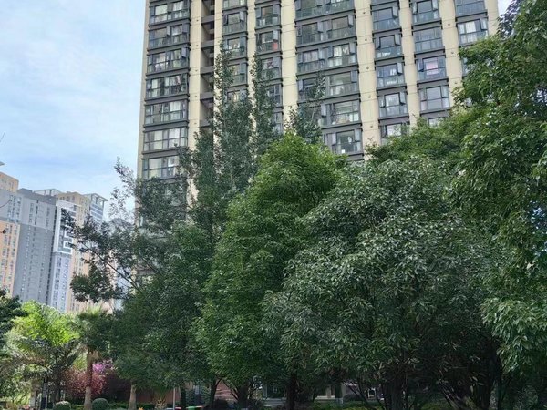 新迎片区租房,禧瑞都 1室1厅1卫 48平 电梯房 精装修,盘龙租房-昆明58