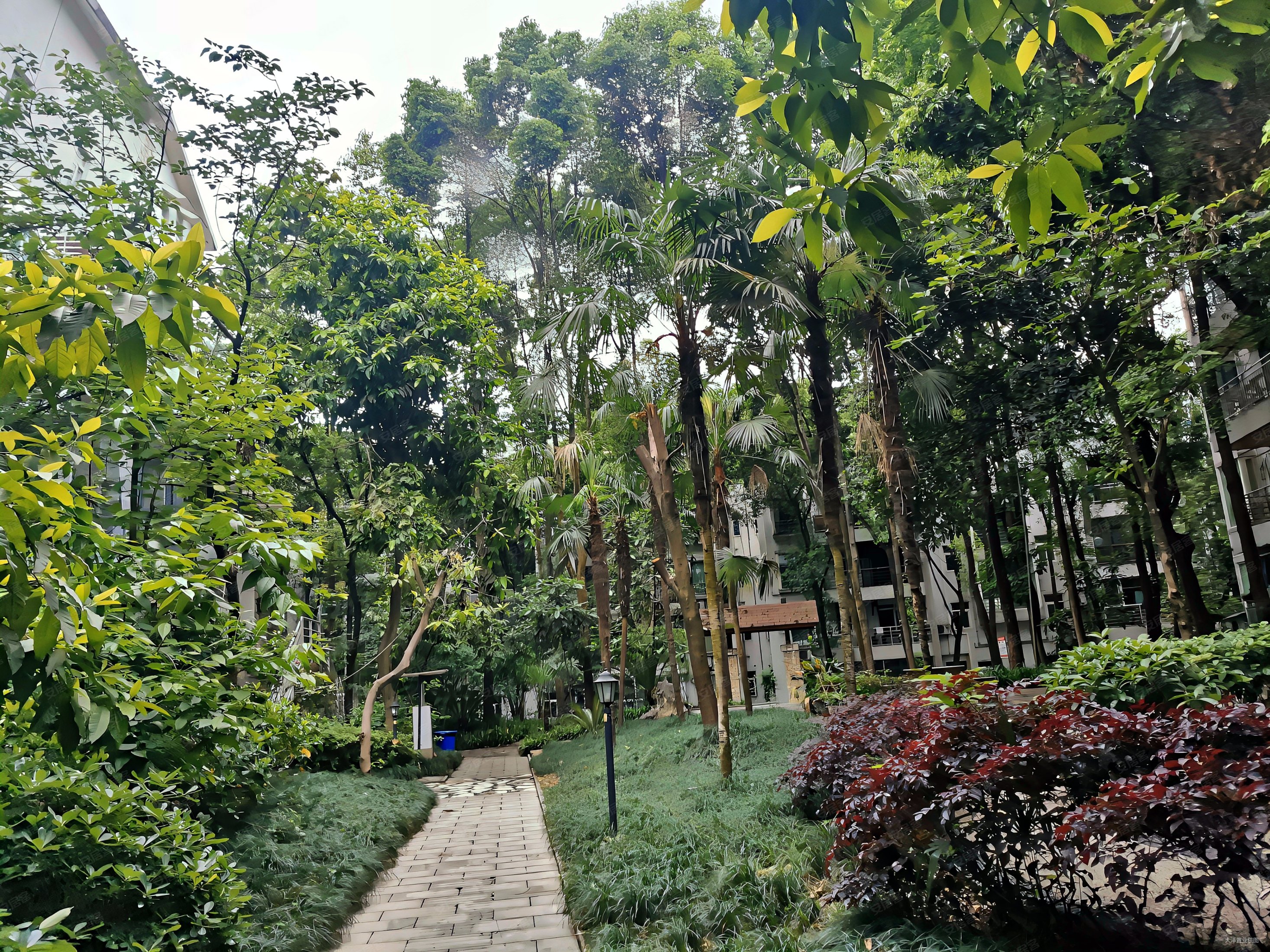 重庆房产网>重庆二手房>渝北二手房>回兴二手房>水木青华>