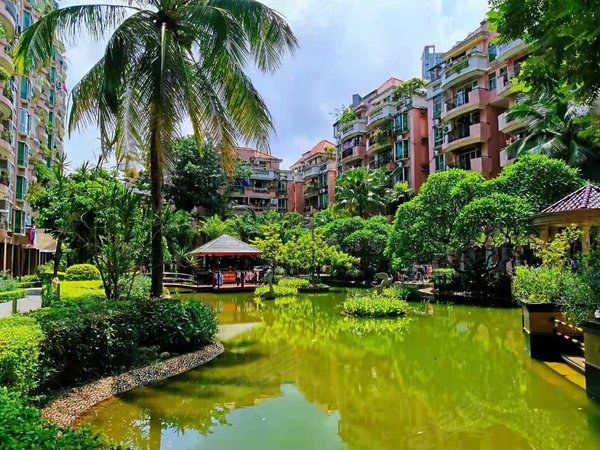 深圳布吉下水径阳光花园阳光花园下水径地铁口 大露台 精装四房 家私