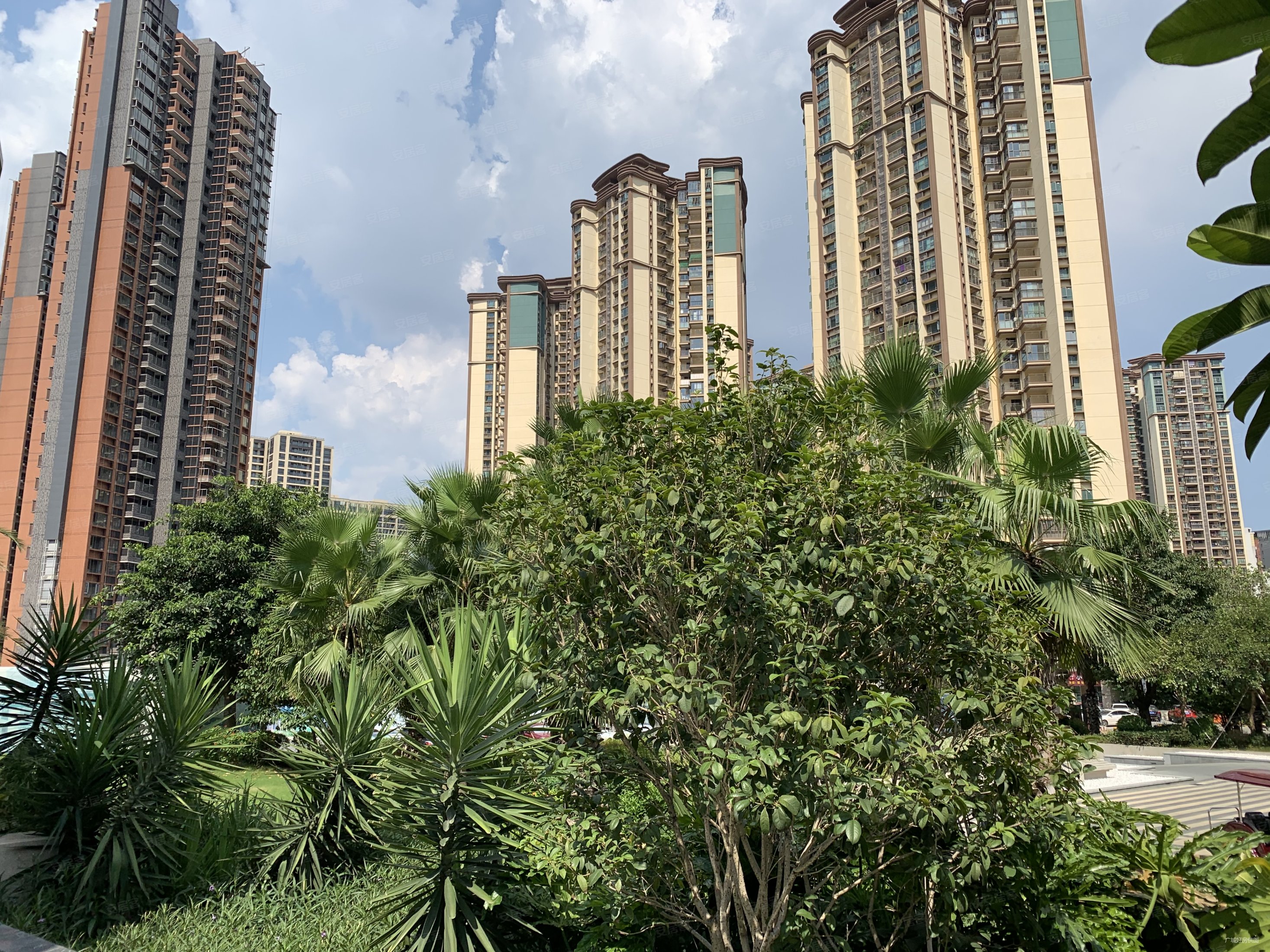 合景天銮 北滘新城cbd 南向三房 华师附小旁