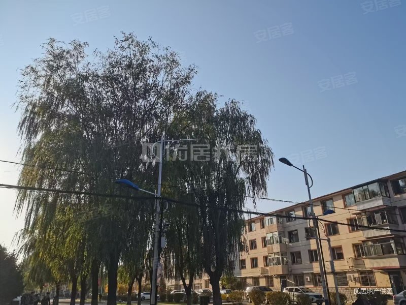 农大西区家属院3室2厅1卫88㎡南北185万