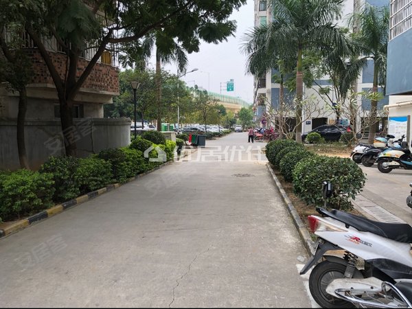 【多图】金水湾花园南区,鲁班路租房,鲁班路 文化园后面 金水湾花园