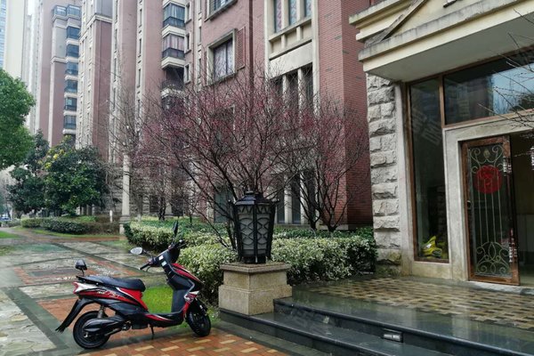 天下锦城温莎城优点,不足,合肥天下锦城温莎城怎么样,天下锦城温莎城