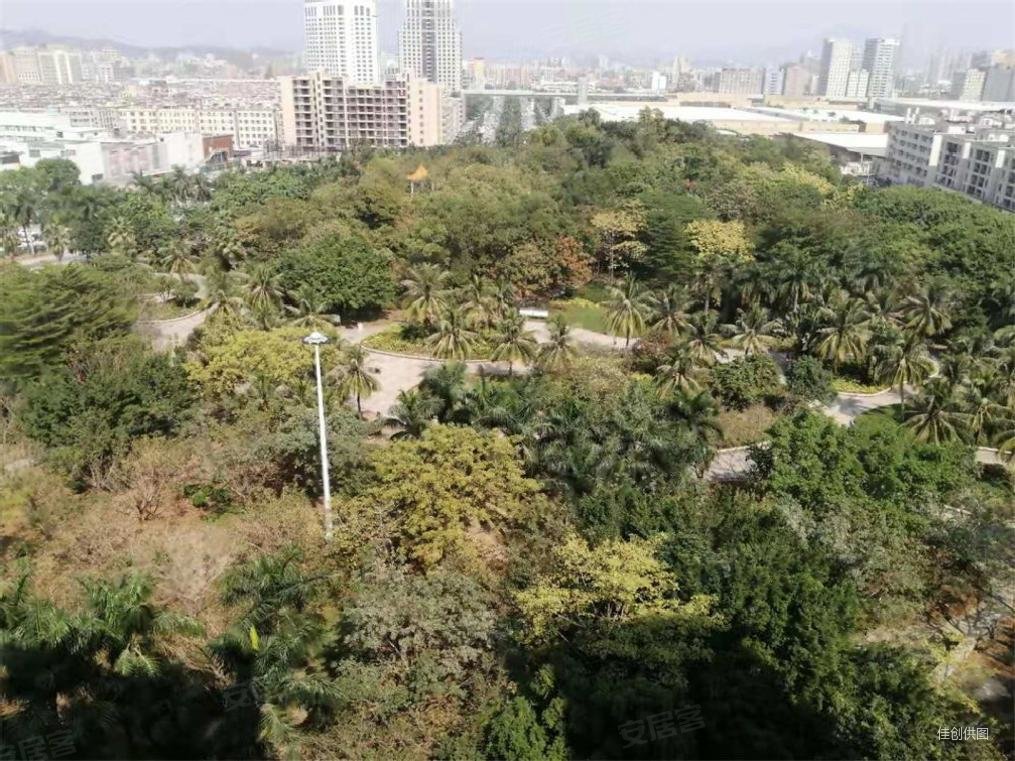 长安滨海湾金沙花园 精装3房带车位出售 户型方正格局好