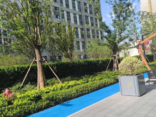 南京江宁麒麟科技城仁恒城市星徽出租,随时可以入住出租房源真实图片