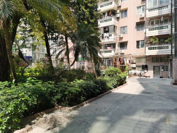 广州海珠广州塔新鸿花园新鸿花园 精装两房 钥匙随时看房 如图实拍