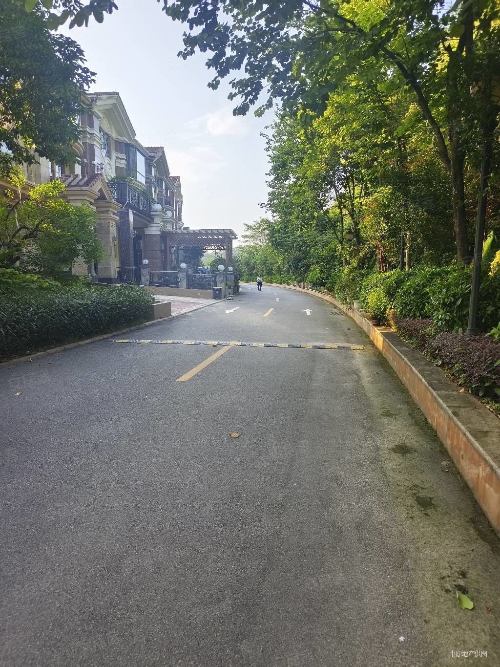 御湖名邸5室2厅3卫326㎡南690万