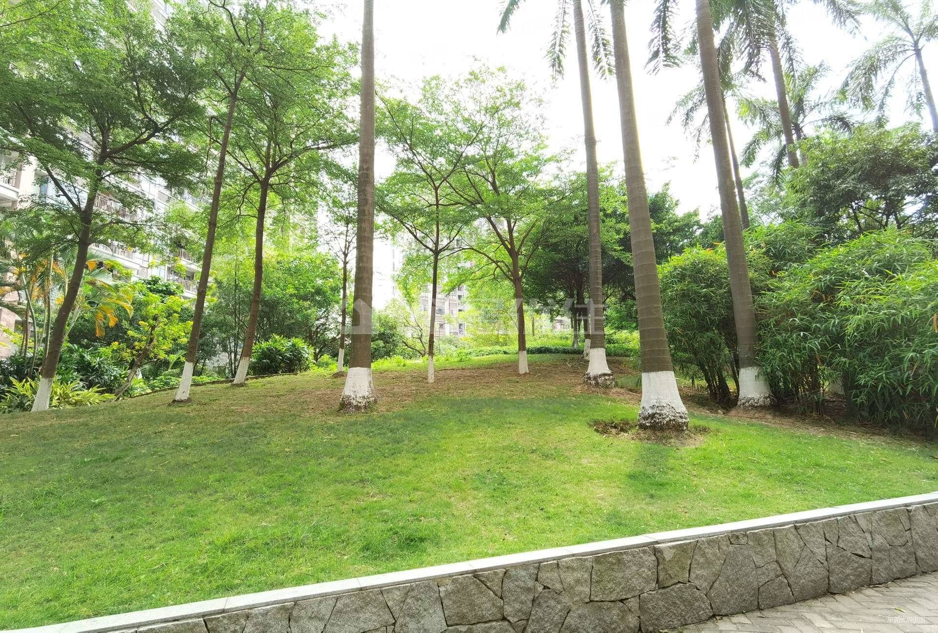 东莞房产网>东莞二手房>虎门二手房>树田二手房>丰泰裕田花园>