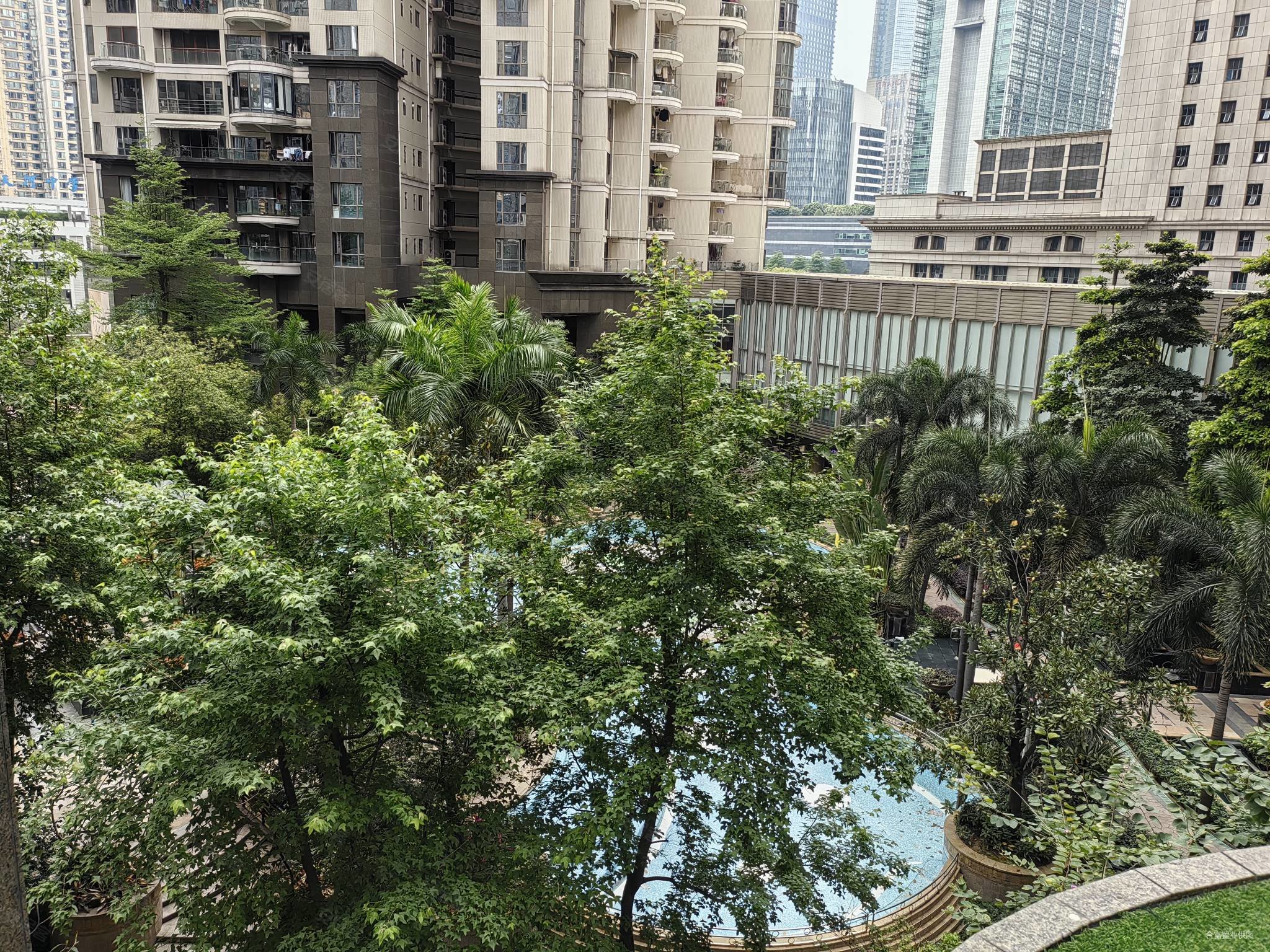 君玥公馆东北向三房安静望花园和泳池真正的拎包入住