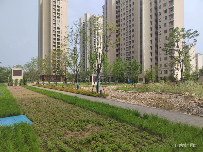 急!售63万 绿地四季印象 商品房 楼层好南北通透 次新小区