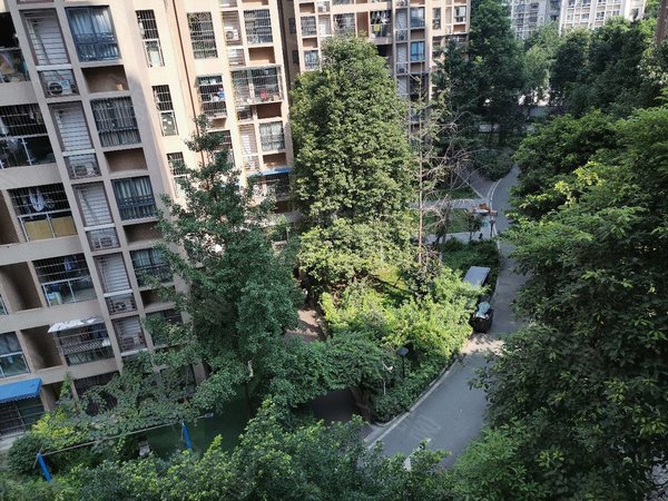 成都武侯簇桥水岸花园a区9号线华兴地铁口!精装套1现房出租!