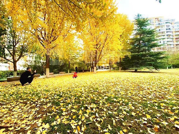 广安门外租房,1室1厅 朗琴园 企业力荐诚意出租,西城租房-北京58安居