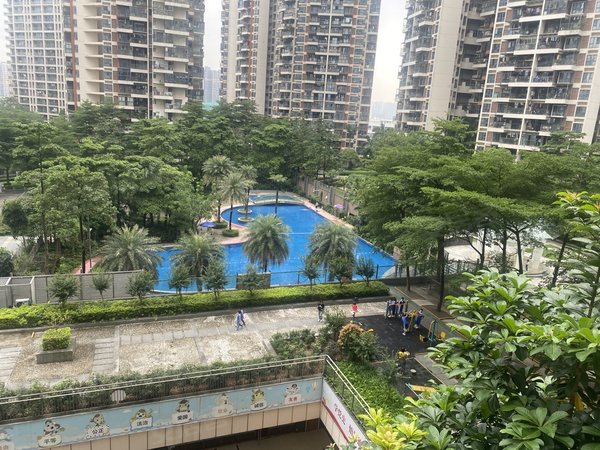 学校好房,龙岗租房-深圳58安居客