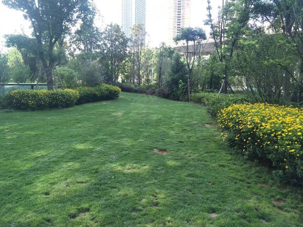 【多图】恒大云报华府,滇池路片区租房,无中介 房租月付 1903 爱琴海