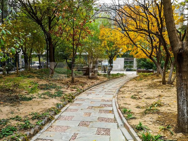 北京朝阳酒仙桥丽都东镇3线通透,9层板楼,不临街,颐堤港二期 798艺术