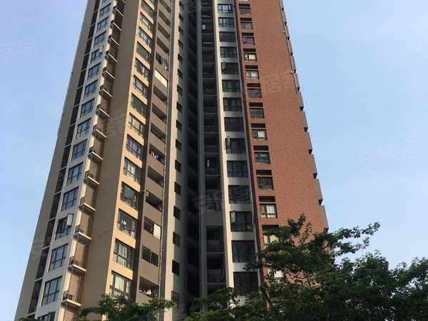 深圳龙岗龙岗中心城紫麟山拎包入住 全新品牌家私电器 初次出租 南北