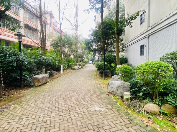 桂林象山中山南路瑞城加州花园瓦窑批发城旁 加州花园 2房家电家具