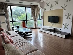 孝感孝南槐荫公园蔚蓝新都  丹阳陪读  精装四房两卫 家电齐全，拎包入住出租房源真实图片