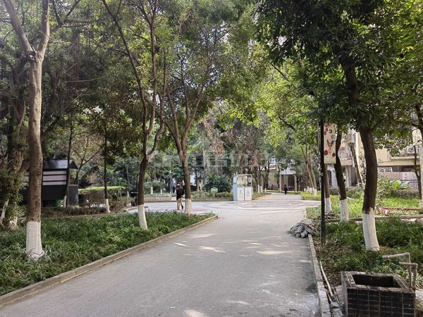 重庆渝北农业园区北岸明珠精装 押一付三 整租 35平 九地北岸明珠